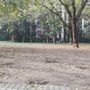 Photo of Area Cani