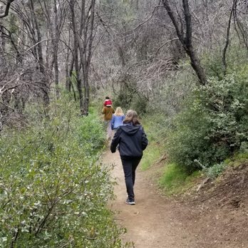 Rose Valley Falls - Hiking Near Me - Ojai, California Rose Valley Falls - Hiking Near Me - Ojai, California