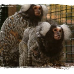 Tierpark Wittenberg