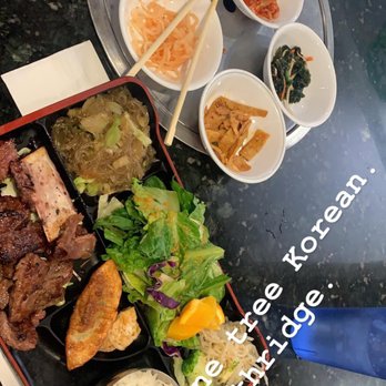 Pine Tree Korean BBQ Restaurant - Lunch special. BBQ ribs. - Korean Near Me - Northridge, California Pine Tree Korean BBQ Restaurant - Lunch special. BBQ ribs. - Korean Near Me - Northridge, California