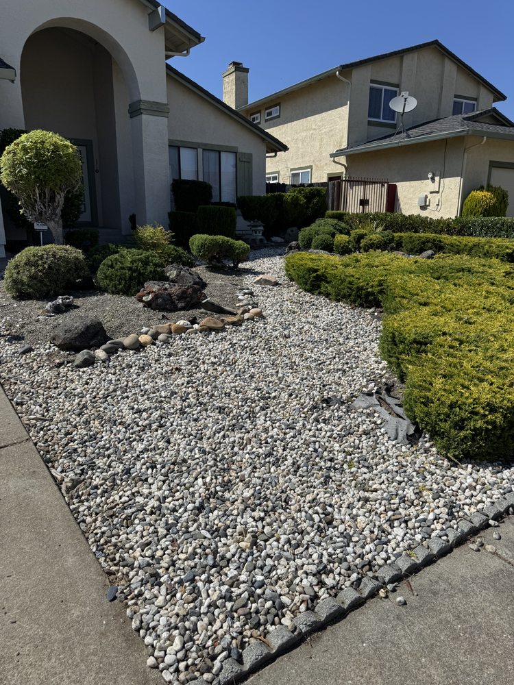 SD Valley Landscaping - tree service in Redwood City, CA