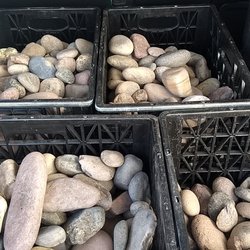 Bedrock Landscape Materials & Supplies - 1.5" to 3" Salt River Rock. Yeah, there is a longer one in there, but I wanted some variety for my project.