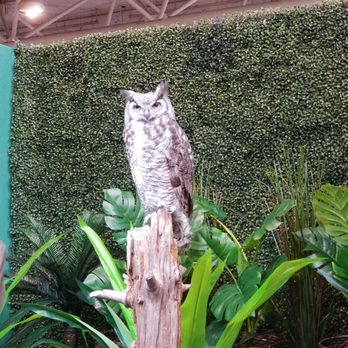ProFusion Expo - Owl - Festivals Near Me - Toronto, Ontario ProFusion Expo - Owl - Festivals Near Me - Toronto, Ontario