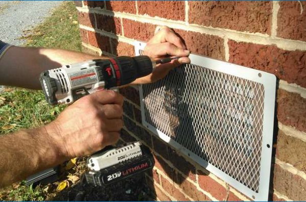 Rodent Proofing - Leo Home Solutions Inc. is your go-to provider for comprehensive rodent proofing services. Our experienced team uses proven techniques and high-quality materials to identify and seal off potential entry points for rodents in your home. We take a proactive approach by addressing the root causes of infestation and working closely with you to eliminate factors that may attract rodents. Rodent Proofing - Leo Home Solutions Inc. is your go-to provider for comprehensive rodent proofing services. Our experienced team uses proven techniques and high-quality materials to identify and seal off potential entry points for rodents in your home. We take a proactive approach by addressing the root causes of infestation and working closely with you to eliminate factors that may attract rodents.