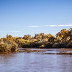Paseo del Bosque Trail - Rio Grande