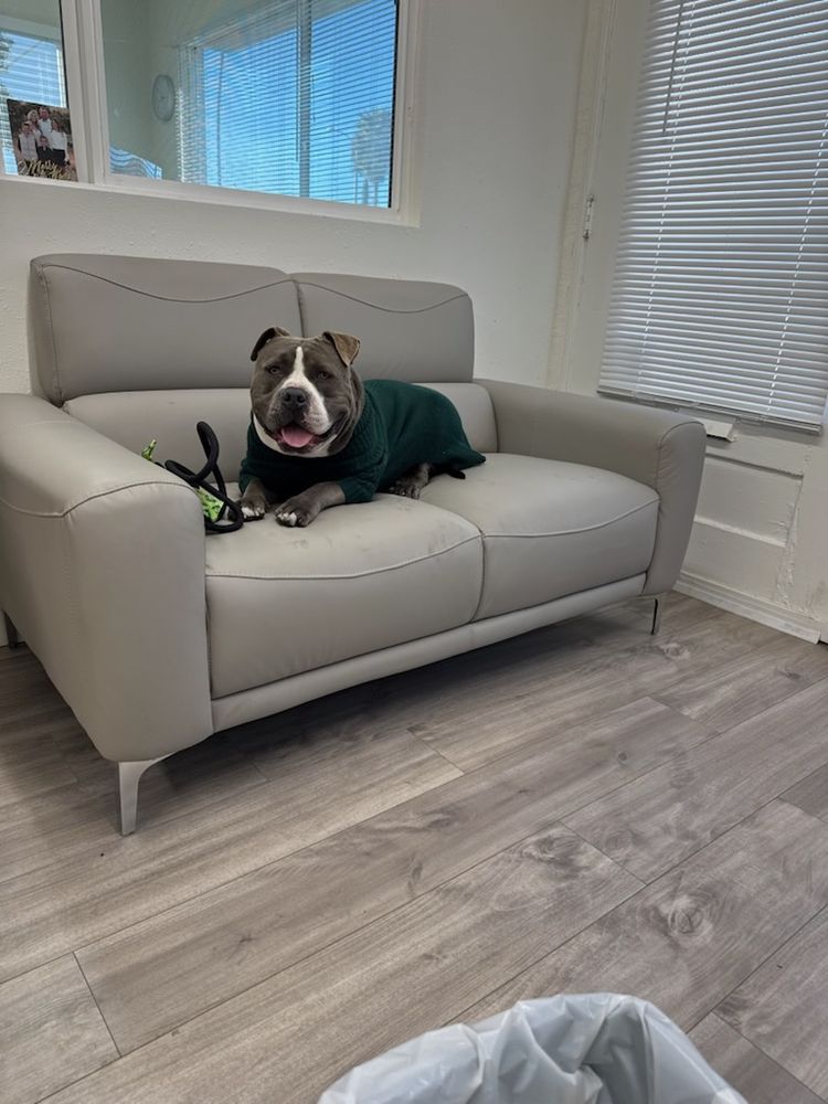 Slide of Avalon Roofing