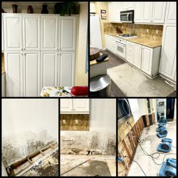M&E Environmental - Got Mold?