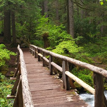 Silver Falls - Beautiful bridges throughout - Hiking Near Me - Randle, Washington