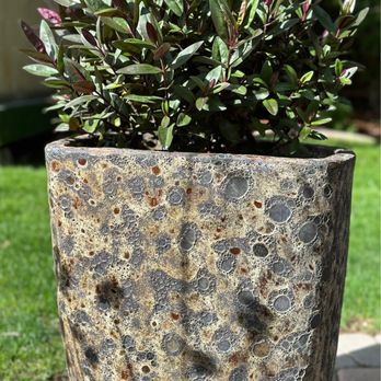 Pottery World - This pot is so unique! - Home Decor Near Me - Rocklin, California