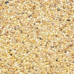 Custom Concrete Plus