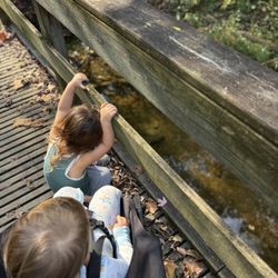 Wetlands Park