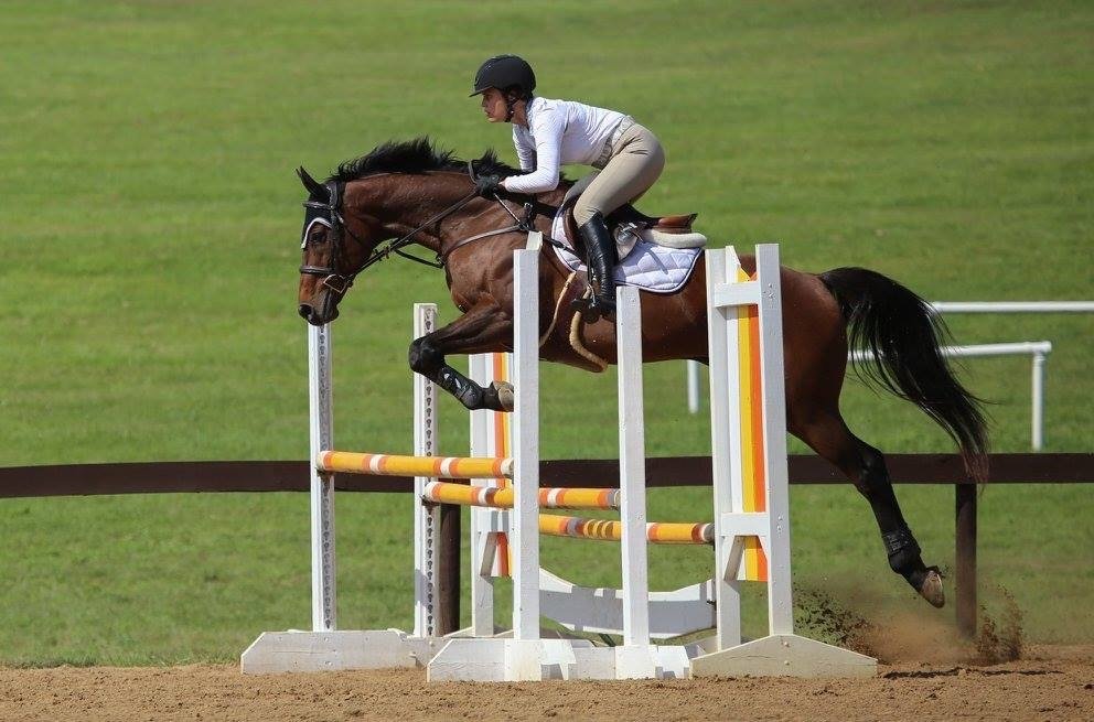 GOLDEN GATE EQUESTRIAN CENTER Updated September 2024 4125 Country