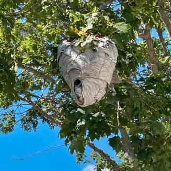 Metcalfe Pest Control - Pest Control Near Me