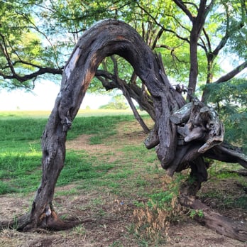 West Loch Shoreline Park - Arches - Parks Near Me - Ewa Beach, Hawaii West Loch Shoreline Park - Arches - Parks Near Me - Ewa Beach, Hawaii