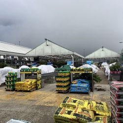 Lowe's Home Improvement - Garden center