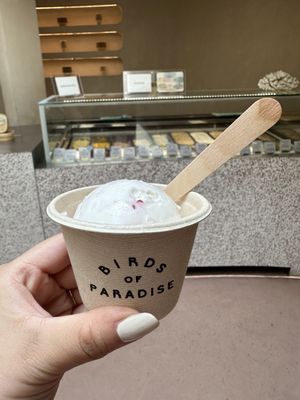 Birds of Paradise Gelato Boutique – Katong (East Coast) by null