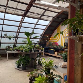 Rooted Wildlings - Walking in - Nurseries & Gardening Near Me - Manlius, New York