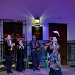 La Casa del Flamenco