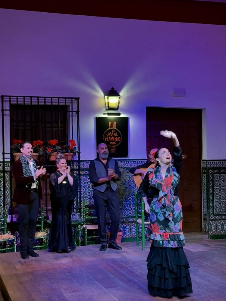 La Casa del Flamenco