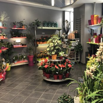Monceau Fleurs - Florists Near Me - Paris, 75