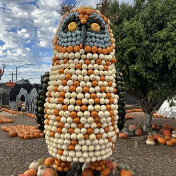 MrBones - Attraction Farms Near Me - Culver City, California MrBones - Attraction Farms Near Me - Culver City, California