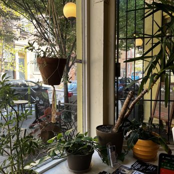 Good Karma Cafe - View from the table by the front window. Plant Heaven - Coffee & Tea Near Me - Philadelphia, Pennsylvania