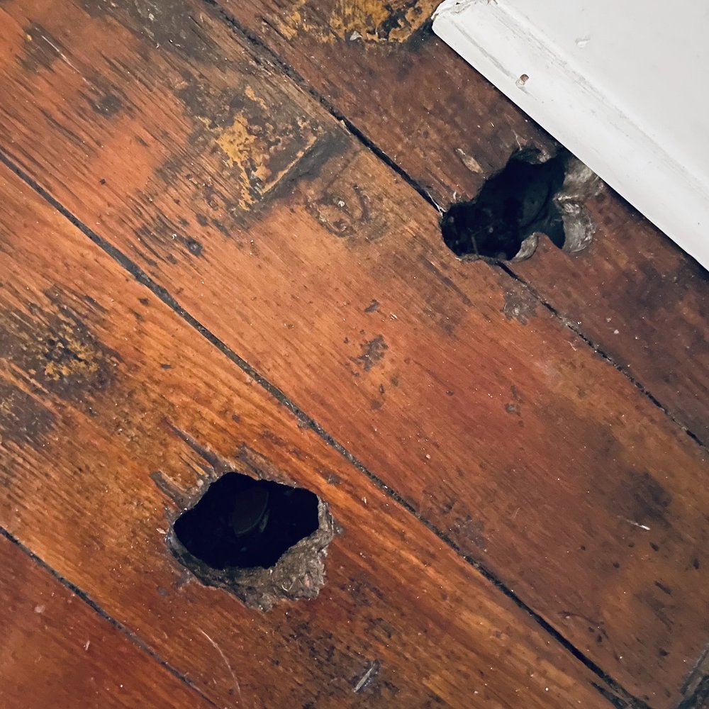 Jungle House - Holes in flooring large enough to cause injury to renters in a major walkway. - Vacation Rentals Near Me - Columbus, Ohio