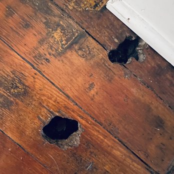 Jungle House - Holes in flooring large enough to cause injury to renters in a major walkway. - Vacation Rentals Near Me - Columbus, Ohio Jungle House - Holes in flooring large enough to cause injury to renters in a major walkway. - Vacation Rentals Near Me - Columbus, Ohio