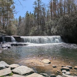 Hooker Falls Trailhead - Dupont State Forest