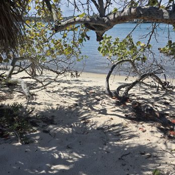 Blowing Rocks Preserve - Beaches Near Me - Hobe Sound, Florida