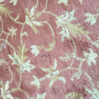 Stanley Steemer - Area rug also dripped on by leaking (and dirty) Stanley Steemer hose. .... - Carpet Cleaning Near Me - Maryland Heights, Missouri Stanley Steemer - Area rug also dripped on by leaking (and dirty) Stanley Steemer hose. .... - Carpet Cleaning Near Me - Maryland Heights, Missouri