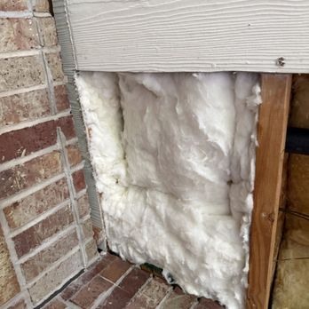 Raul The Bees Guy - Pest Control Near Me Raul The Bees Guy - Pest Control Near Me