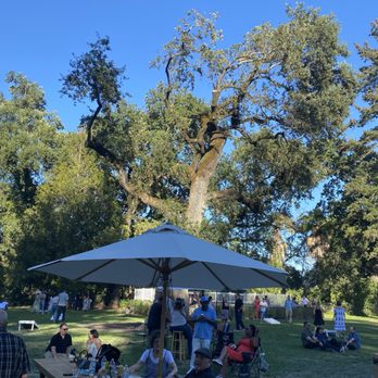 Charles Krug Winery - The tables available, people sitting on the grass durning the festival. - Venues & Event Spaces Near Me - St. Helena, California