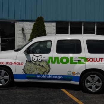 Mold Solutions - Home Inspectors Near Me - Frankfort, Illinois Mold Solutions - Home Inspectors Near Me - Frankfort, Illinois