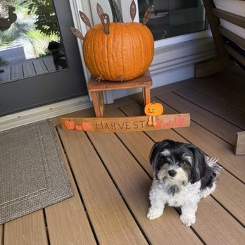 US Cryotherapy - Danville / San Ramon - Happy October - Cryotherapy Near Me - San Ramon, California US Cryotherapy - Danville / San Ramon - Happy October - Cryotherapy Near Me - San Ramon, California