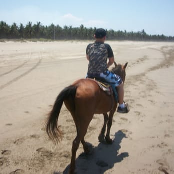 Stone Island - Horseback Riding Near Me Stone Island - Horseback Riding Near Me
