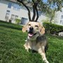 Photo of Fur and Feathers Pet Care