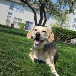 Fur and Feathers Pet Care - Happy Customer