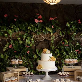 A Cake Life - Cake and cupcake display - Bakeries Near Me - Honolulu, Hawaii