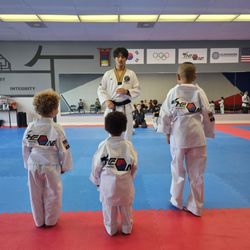 The ONE Taekwondo