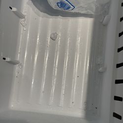 Ocean View Realty Group - Dirty freezer with dead gnats