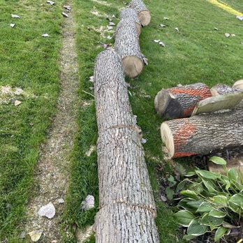 Tony's Tree and Landscaping - Tree Services Near Me - Cheektowaga, New York