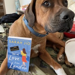 He's already on page 48.