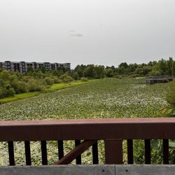 Broadlands Wetlands Preservation Area - View from bridge
