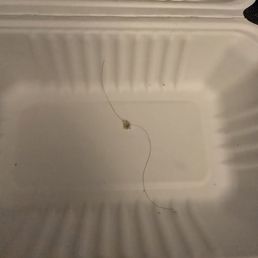 The hair that was in my salad I noticed 2 bites into eating.