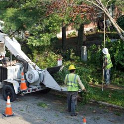 Dillmann's Tree Care