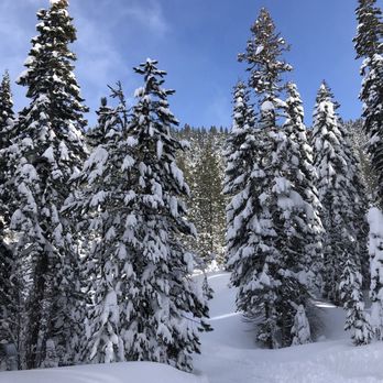 Cold stream Adventures - Tours Near Me - Truckee, California Cold stream Adventures - Tours Near Me - Truckee, California