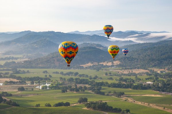 Napa Valley Aloft Hot Air Balloon Rides by null