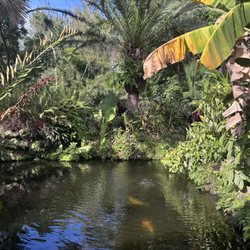 Botanical Gardens - Many ponds scattered throughout the garden