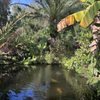 Botanical Gardens gift card